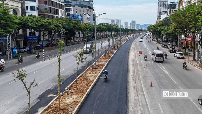 Về phương án hoàn trả, đại diện Ban nông nghiệp cho hay theo phương án hoàn trả ban đầu, chủ đầu tư hoàn trả theo nguyên trạng gồm cây bụi, cây mảng và cây bóng mát trong đó có khoảng 170 cây Chiêu Liêu (đại mộc) và khoảng 100 cây Ban (tiểu mộc)...