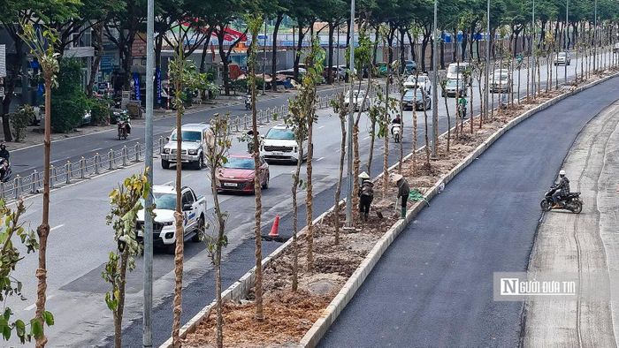 Trong quá trình thi công hoàn trả, sau khi phối hợp thống nhất với các cơ quan quản lý cây xanh, chủ đầu tư dự kiến sẽ tiến hành thay thế cây Chiêu Liêu (đại mộc) bằng các loại cây tiểu mộc để đảm bảo cảnh quan đồng bộ toàn tuyến.