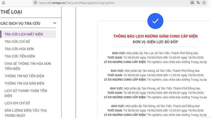 Lịch ngừng cấp điện tại Đồng Nai ngày mai 19/6 được cập nhật trên website của EVNSPC lúc 10h55 ngày 18/6. Ảnh: BNEWS phát