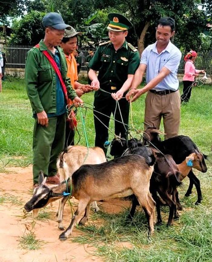 Bộ đội biên phòng hướng dẫn các hộ khó khăn chăn nuôi dê hiệu quả.