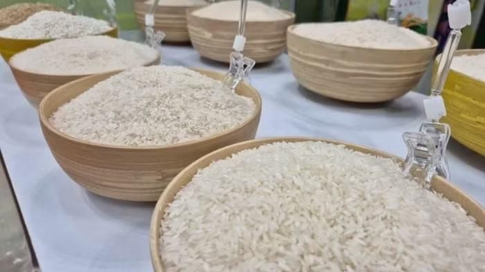 Giá lúa gạo hôm nay tại khu vực Đồng bằng sông Cửu Long tiếp tục ổn định