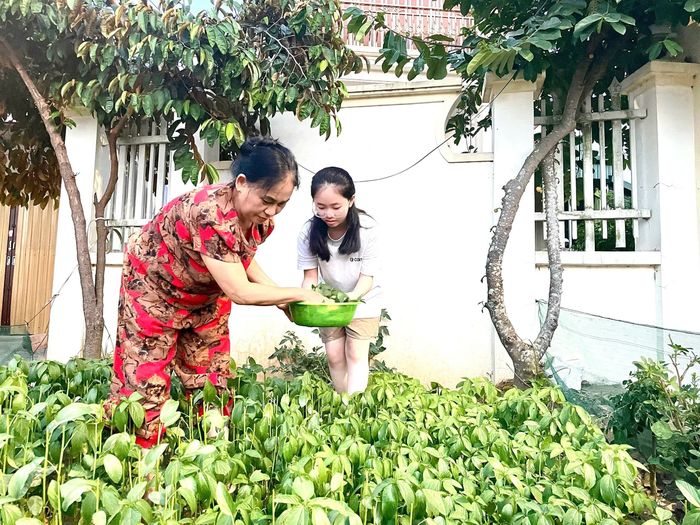 Em Nguyễn Bích Thủy, cháu gái ông Nguyễn Văn Thắng giúp bà hái rau để chuẩn bị bữa cơm chiều.