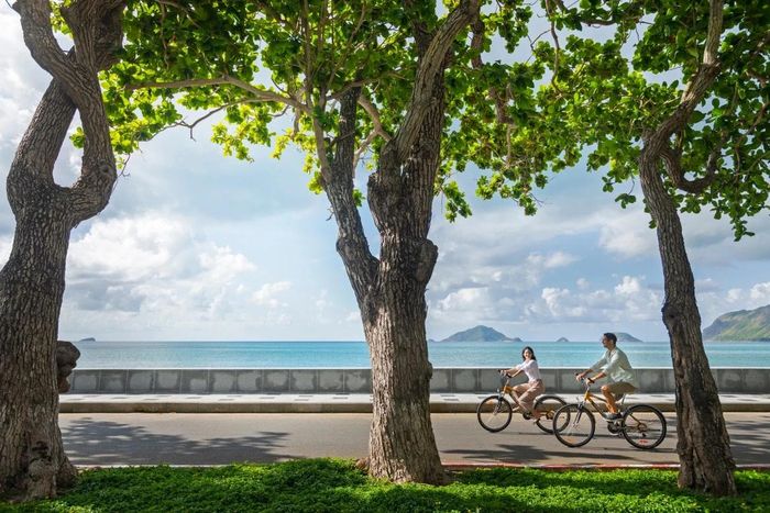 Sức hút của Côn Đảo trong mùa hè năm nay duy trì ở mức tích cực, dù vé máy bay ra đảo giá khá cao và luôn khan hiếm.