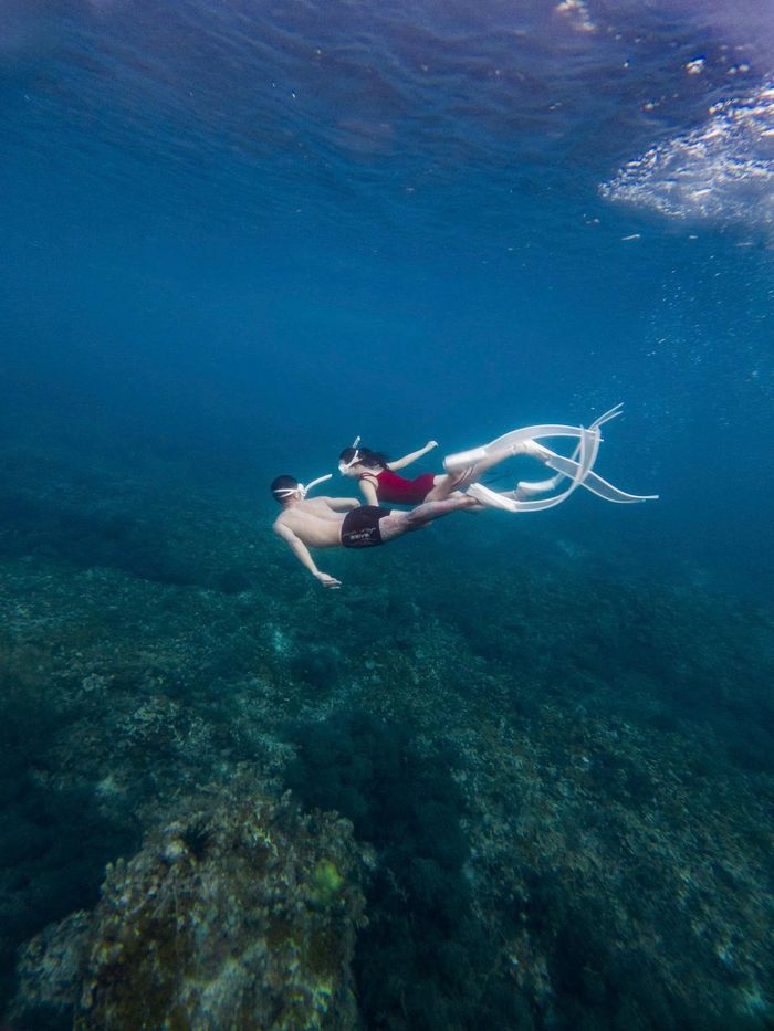 Lặn ngắm san hô và free diving (lặn tự do) đang rất "hot" tại Phú Quý.