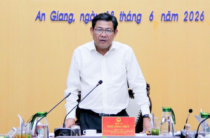 Phó Chủ tịch UBND tỉnh Ngô Công Thức phát biểu kết luận cuộc họp.