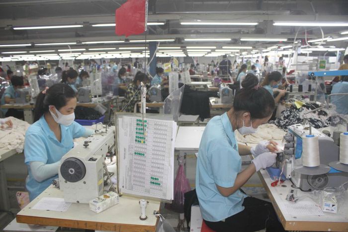 Sản xuất tại Công ty TNHH Pi Vina (Khu công nghiệp Hòa Khánh). Ảnh: MINH LÊ
