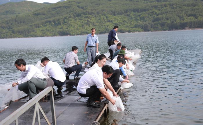 Hoạt động thả cá giống tại hồ Đồng Nghệ. Ảnh: ĐẮC MẠNH