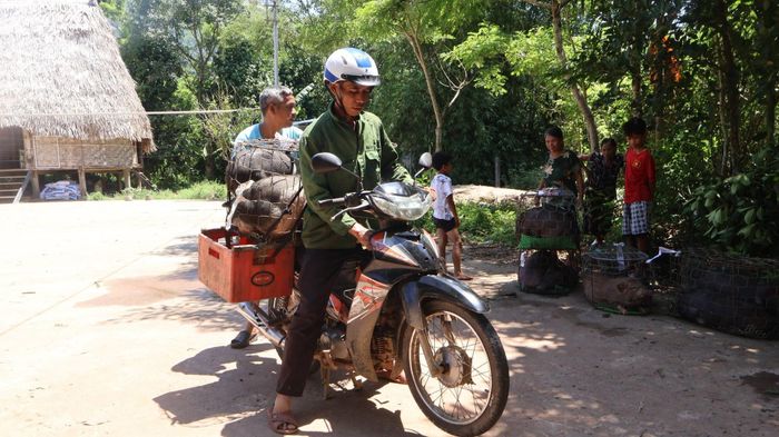 Các chính sách giảm nghèo, an sinh xã hội tạo đòn bẩy giúp hộ nghèo, hộ cận nghèo, người yếu thế vươn lên trong cuộc sống. Ảnh: HUY HOÀNG