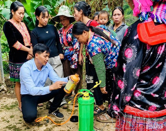 Giảng viên Trung tâm Giáo dục nghề nghiệp - Giáo dục thường xuyên 4 hướng dẫn thực hành cách pha chế, sử dụng thuốc bảo vệ thực vật trong buổi tập huấn kỹ thuật sản xuất cây ăn quả cho học viên tại bản Mường Nhé, xã Mường Nhé.