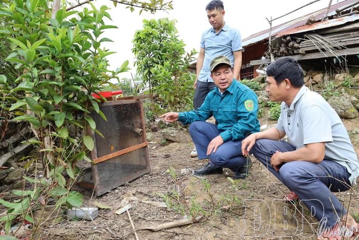 Lãnh đạo xã Chà Tở thăm mô hình kinh tế của người dân bản Sìn Thàng.