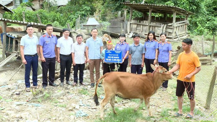 Bà Nguyễn Thị Nguyệt Hoa, Phó Viện trưởng Viện Kiểm sát nhân dân tỉnh Điện Biên và đại diện lãnh đạo xã Quài Tở trao bò hỗ trợ cho gia đình bà Vừ Thị Thào, bản Tỏa Tình.