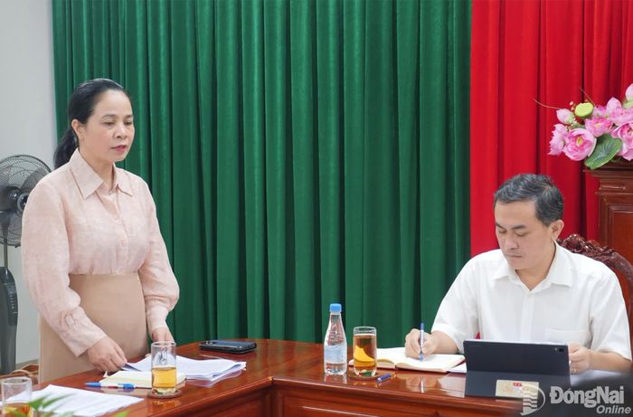 Giám đốc Sở Y tế Đỗ Thị Nguyên báo cáo tại cuộc họp. Ảnh: Hạnh Dung