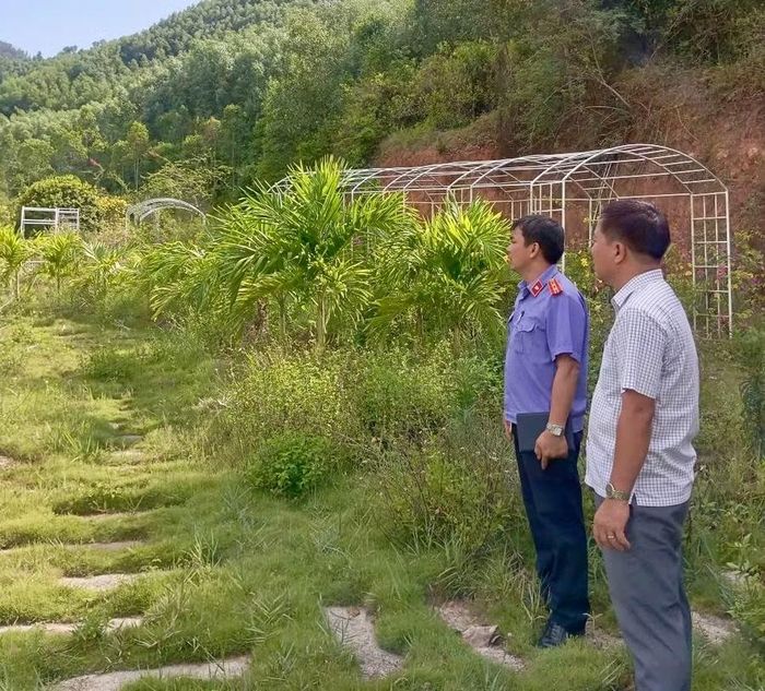 Đại diện Viện KSND khu vực 6 tỉnh Gia Lai kiểm tra hiện trường khu vực đất rừng phòng hộ bị lấn chiếm. Ảnh: Văn Nguyễn