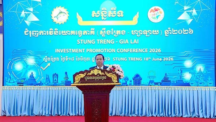 Phó Chủ tịch Thường trực UBND tỉnh Gia Lai Nguyễn Tuấn Thanh phát biểu tại hội nghị. Ảnh: R'Piên