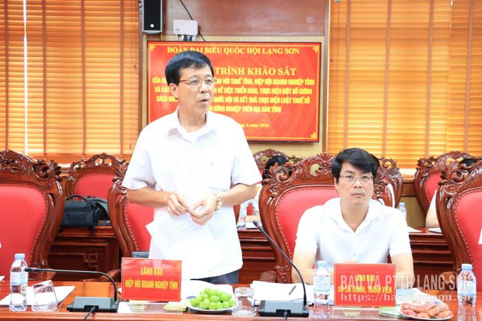 Lãnh đạo Hiệp hội Doanh nghiệp tỉnh phát biểu tại chương trình 