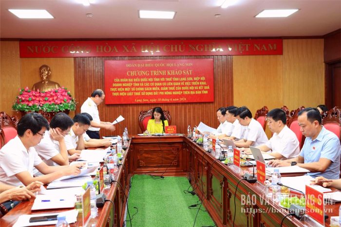 Lãnh đạo Thuế tỉnh báo cáo tình hình triển khai chính sách thuế trên địa bàn tỉnh