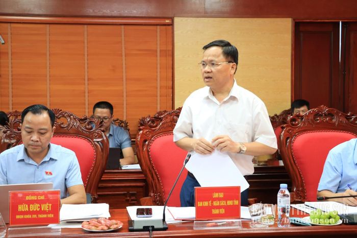 Lãnh đạo Ban Kinh tế - Ngân sách HĐND tỉnh phát biểu tại chương trình 