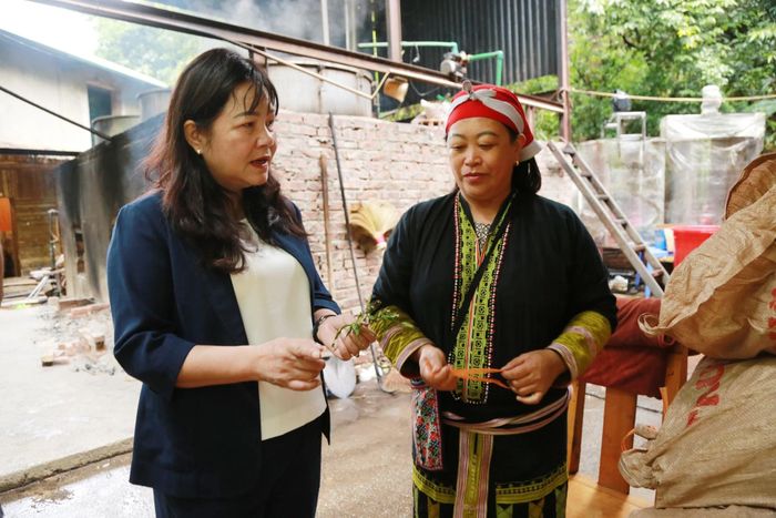 Phó Chủ tịch HĐND tỉnh Hoàng Thị Thanh Bình trò chuyện với người dân xã Tả Phìn về tình hình trồng cây dược liệu và chế biến các sản phẩm từ cây dược liệu.