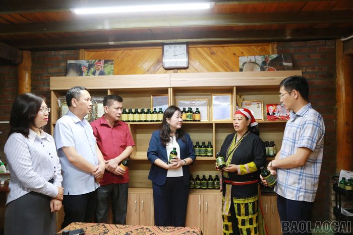 Đoàn công tác của HĐND tỉnh thăm Hợp tác xã Cộng đồng Dao đỏ xã Tả Phìn.