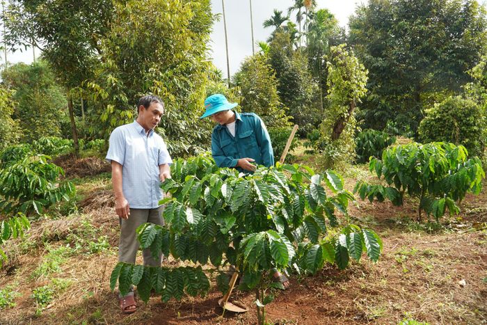 Ông Nguyễn Tôn Kè (bên trái) luôn nêu cao tinh thần trách nhiệm, vì dân