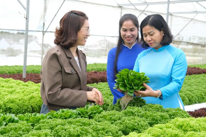 Đoàn công tác của Trung ương Hội LHPN Việt Nam tham quan hợp tác xã do phụ nữ làm chủ tại Lâm Đồng