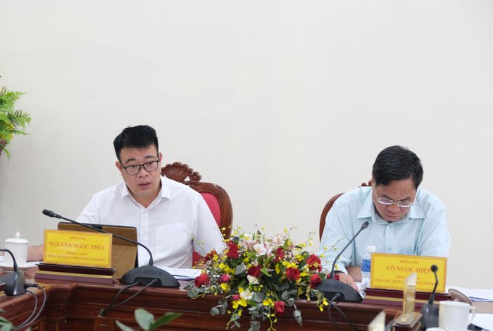 Tỉnh ủy viên, Phó Chủ tịch UBND tỉnh Nguyễn Ngọc Phúc nêu ý kiến chỉ đạo tại buổi làm việc