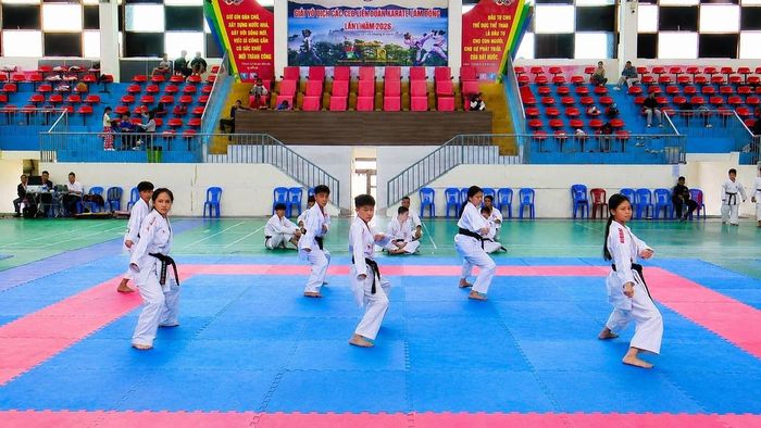 Các võ sinh thi thăng đẳng quốc gia môn karate