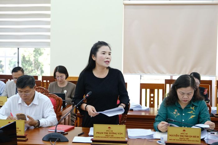 Đồng chí Phạm Thị Tường Vân, Tỉnh ủy viên, Trưởng Ban Kinh tế - Ngân sách HĐND tỉnh thông qua các tờ trình tại phiên họp