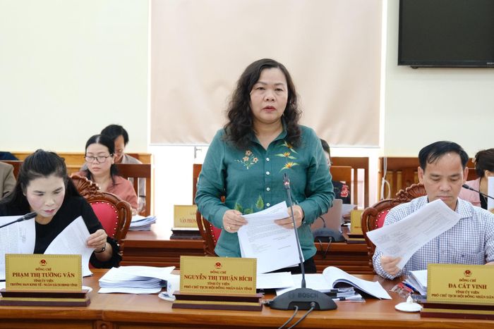 Đồng chí Nguyễn Thị Thuận Bích, Tỉnh ủy viên, Phó Chủ tịch HĐND tỉnh, Trưởng Ban Văn hóa - Xã hội HĐND tỉnh phát biểu tại phiên họp