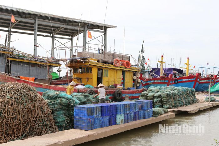 Cảng cá Ninh Cơ, xã Hải Thịnh trước ngày diễn tập.