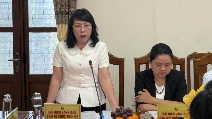 Đại biểu phát biểu tham luận - Ảnh: N.L