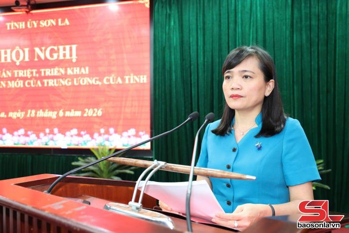 Đồng chí Trưởng ban Nội chính Tỉnh ủy quán triệt các văn bản tại hội nghị.