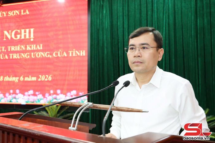 Lãnh đạo Ban Tổ chức Tỉnh ủy quán triệt các văn bản tại hội nghị.