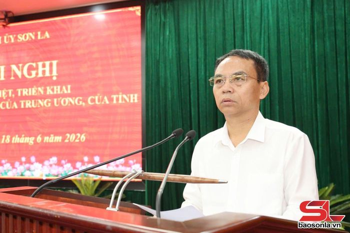 Đồng chí Phó Chủ tịch UBND tỉnh quán triệt các văn bản tại hội nghị.