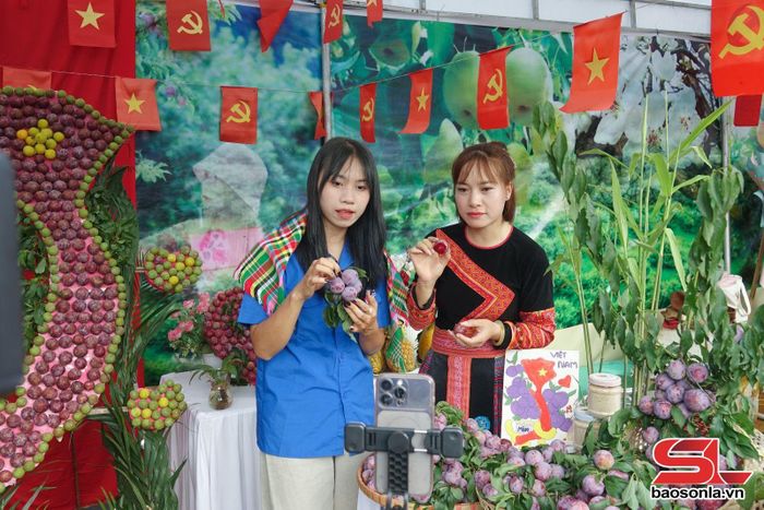 ĐVTN livestream giới thiệu, quảng bá sản phẩm mận trên nền tảng số.