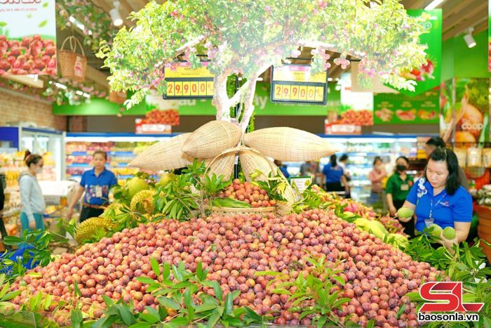 Gian hàng trưng bày mận hậu Sơn La tại Saigon Co.op.Ảnh: PV