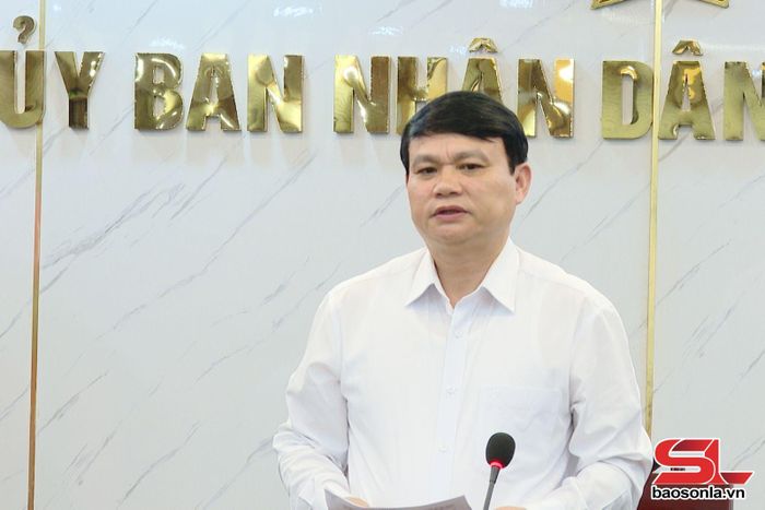 Đồng chí Đặng Ngọc Hậu, Phó Chủ tịch UBND tỉnh phát biểu tại cuộc làm việc.