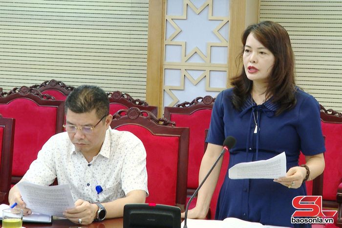 Đại diện Sở Dân tộc và Tôn giáo phát biểu tại cuộc làm việc.