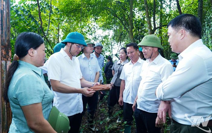 Đồng chí Bí thư Tỉnh ủy cùng Đoàn công khảo sát địa điểm cáp tời Bình Trai được thực dân Pháp xây dựng từ cuối thế kỷ XIX, đầu thế kỷ XX.