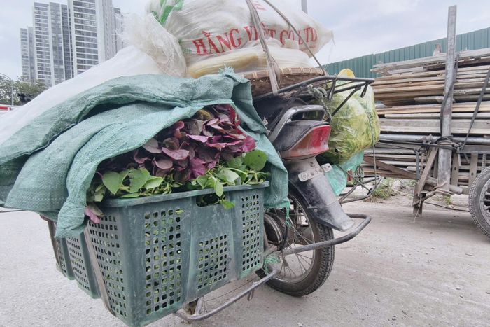 Như chiếc xe máy trong ảnh, một nữ tiểu thương ở Hoài Đức thường sử dụng để buôn bán rau, củ hằng ngày. Phương tiện này không có biển số, giấy tờ xe cũng bị thất lạc không rõ nguồn gốc. Đáng chú ý, chủ xe còn gắn thêm giá chở hàng phình rộng ra hai bên thân xe.