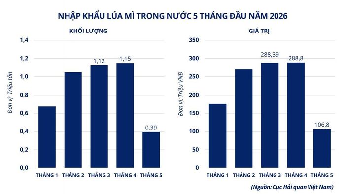 Nhập khẩu lúa mì trong nước 5 tháng đầu năm 2026.