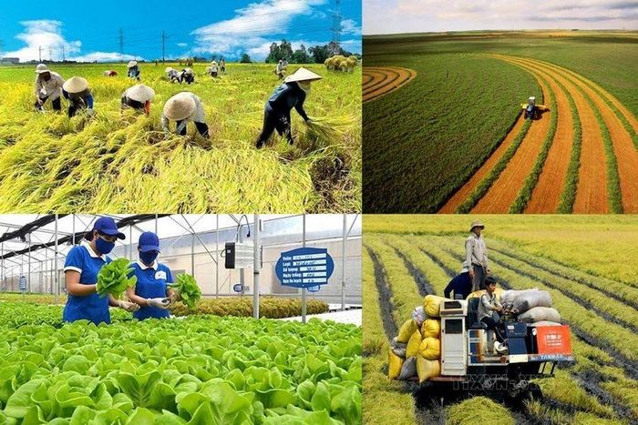 Cải cách thủ tục, tiết kiệm nghìn tỷ đồng cho người dân và doanh nghiệp trong lĩnh vực nông nghiệp và môi trường. Ảnh minh họa