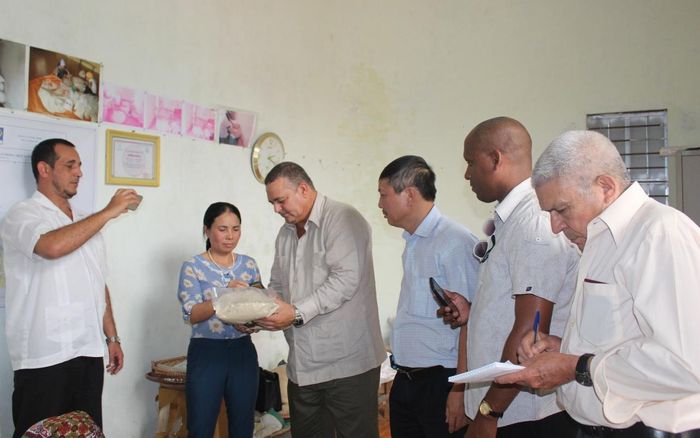 Khách hàng nước ngoài quan tâm đến sản phẩm của HTX.
