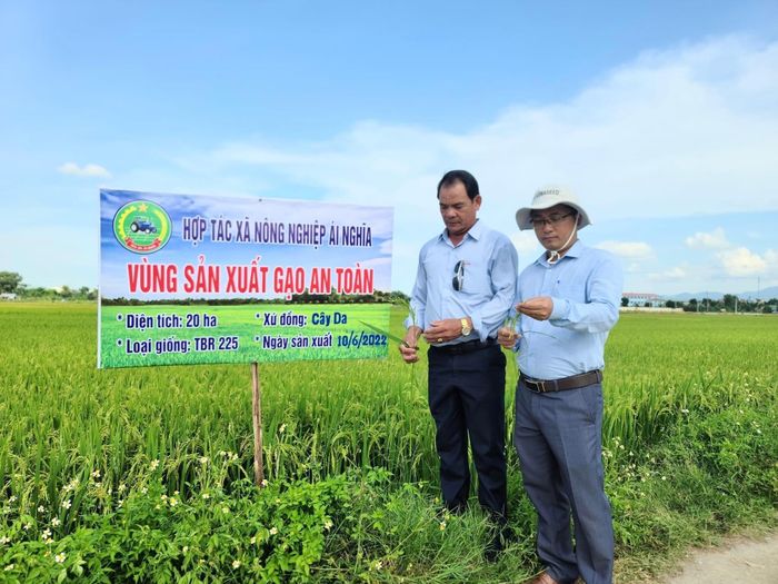Nhiều thủ tục đăng ký tổ THT, HTX và liên hiệp HTX được đề xuất cắt giảm mạnh thời gian xử lý, từ 5 ngày xuống còn 3 ngày, 2 ngày và thậm chí chỉ 1 ngày trong một số trường hợp.