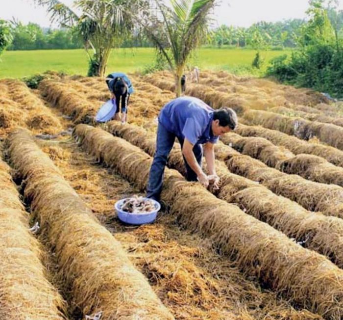 Cần tư duy “nuôi đất” thay vì khai thác đất