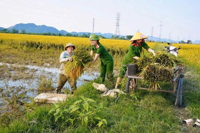 Một tác phẩm ảnh từ thực tiễn công tác được cán, bộ hội viên gửi tham gia cuộc thi.