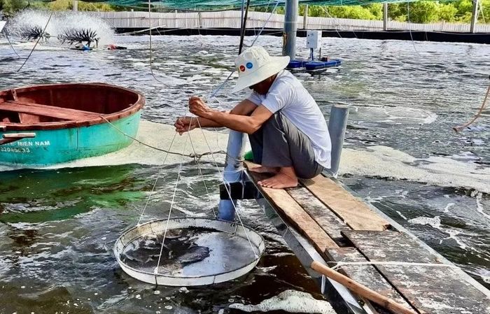 Nhiều hộ dân ở Nam Cửa Việt chuyển từ khai thác trên biển sang nuôi trồng thủy sản.