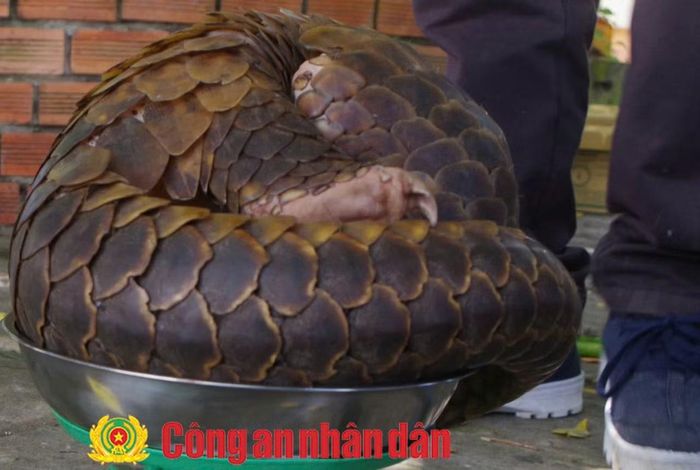 Tang vật tại nơi ở các đối tượng.