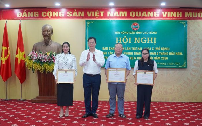 Phó Bí thư Tỉnh ủy, Chủ tịch Ủy ban MTTQ Việt Nam tỉnh trao bằng khen của Trung ương Hội Nông dân Việt Nam cho các tập thể có thành tích xuất sắc trong công tác Hội và phong trào nông dân năm 2024 - 2025.