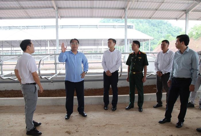 Bí thư Tỉnh ủy Phan Thăng An khảo sát Dự án chăn nuôi bò sữa và chế biến sữa công nghệ cao tại xã Phục Hòa.